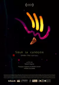 Plakat filmu Pod baldachimem