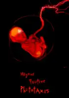 plakat filmu Magnus Positive Phototaxis