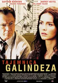 Plakat filmu Tajemnica Galindeza