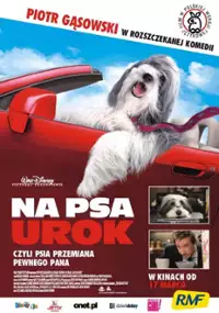 Plakat filmu Na psa urok