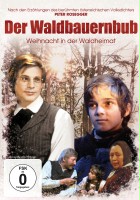 plakat filmu Der Waldbauernbub