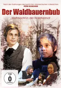 Plakat filmu Der Waldbauernbub