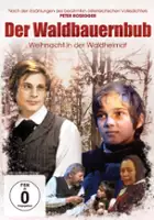 Hermann Leitner / Der Waldbauernbub