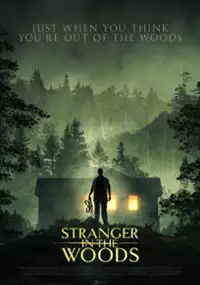 Plakat filmu Stranger in the Woods