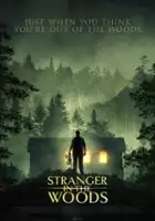 plakat filmu Stranger in the Woods