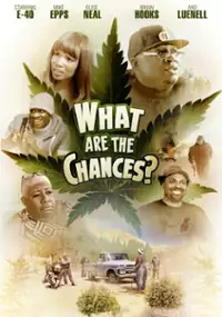 Plakat filmu What Are the Chances?