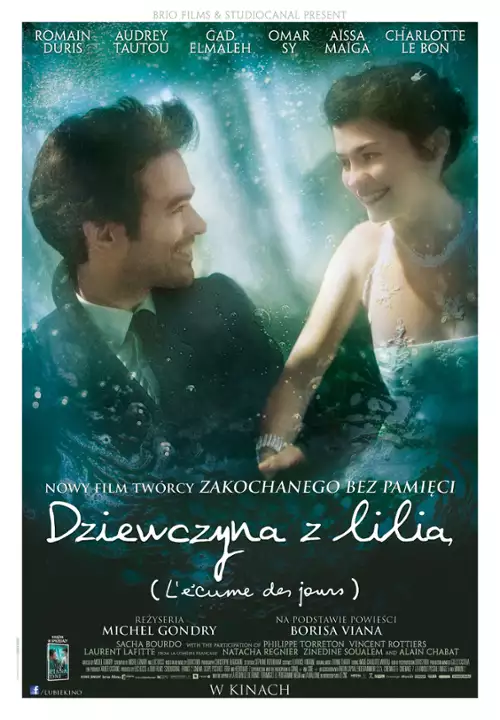 plakat filmu Dziewczyna z lilią