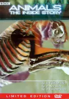 Tim Scoones / Animals: The Inside Story