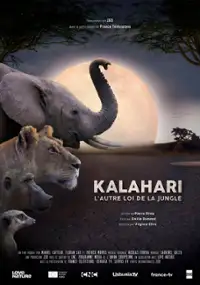 Plakat serialu Kalahari, twarde prawo pustyni
