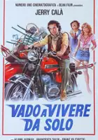 plakat filmu Na własny rachunek
