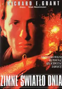 Plakat filmu Zimne światło dnia