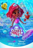 plakat filmu Ariel