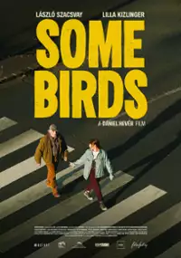Plakat filmu Coś o ptakach