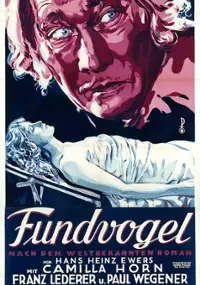 Plakat filmu Fundvogel
