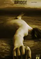 Johnny Dowers / The Bridge: Na granicy