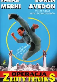 Plakat filmu Operacja złoty feniks