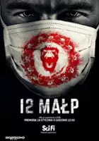 plakat - 12 małp (2015)