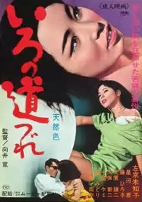 Plakat filmu Iro no Michizure