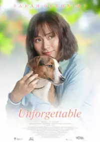 Plakat filmu Unforgettable