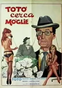 Plakat filmu Toto szuka żony