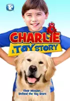 plakat filmu Charlie - historia zabawki