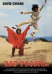 Plakat filmu Huo feng huang
