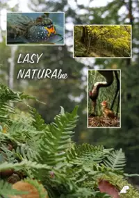 Plakat filmu Lasy naturalne