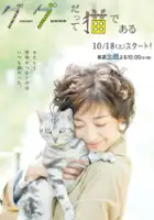 plakat serialu Gou-Gou Datte Neko de Aru