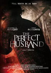 Plakat filmu The Perfect Husband