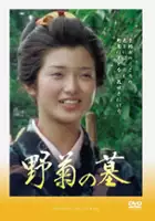 plakat filmu Nogiku no Haka