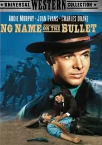 Plakat filmu No Name on the Bullet