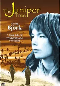 Plakat filmu Krzew jałowca