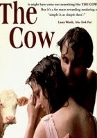 plakat filmu Krowa