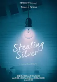Plakat filmu Stealing Silver