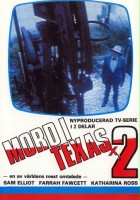 plakat filmu Morderstwo w Teksasie