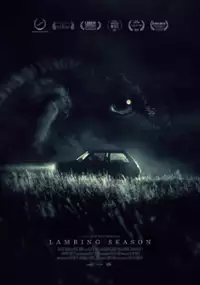 Plakat filmu Lambing Season