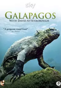 Plakat serialu Galapagos