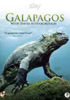 Jason Lord-Castle / Galapagos