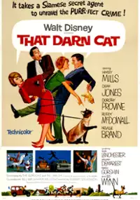 Plakat filmu Koci detektyw