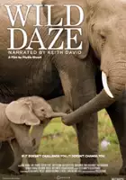 plakat filmu Wild Daze