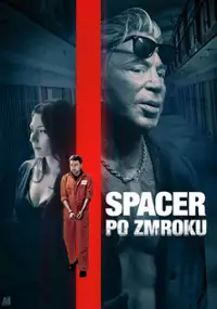 Plakat filmu Spacer po zmroku
