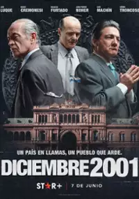 Plakat serialu Diciembre 2001
