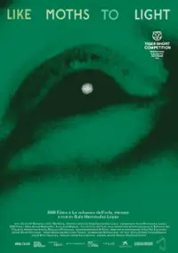 Plakat filmu like moths to light