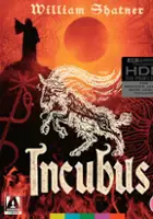 plakat filmu Incubus