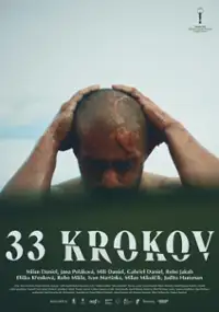 Plakat filmu 33 krokov