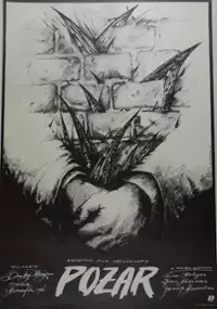 Plakat filmu Pożar