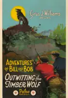 plakat filmu The Adventures of Bob and Bill