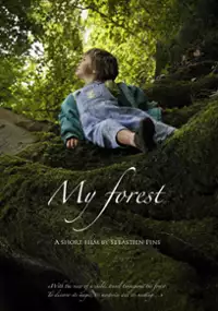 Plakat filmu Ma forêt