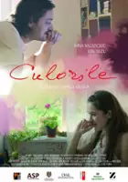 Viorel Mardare / Culorile