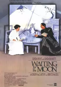 Plakat filmu Waiting for the Moon